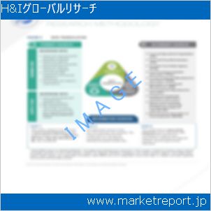 市場と産業調査レポートのイメージ